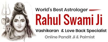 Astrologer Rahul Swami Ji